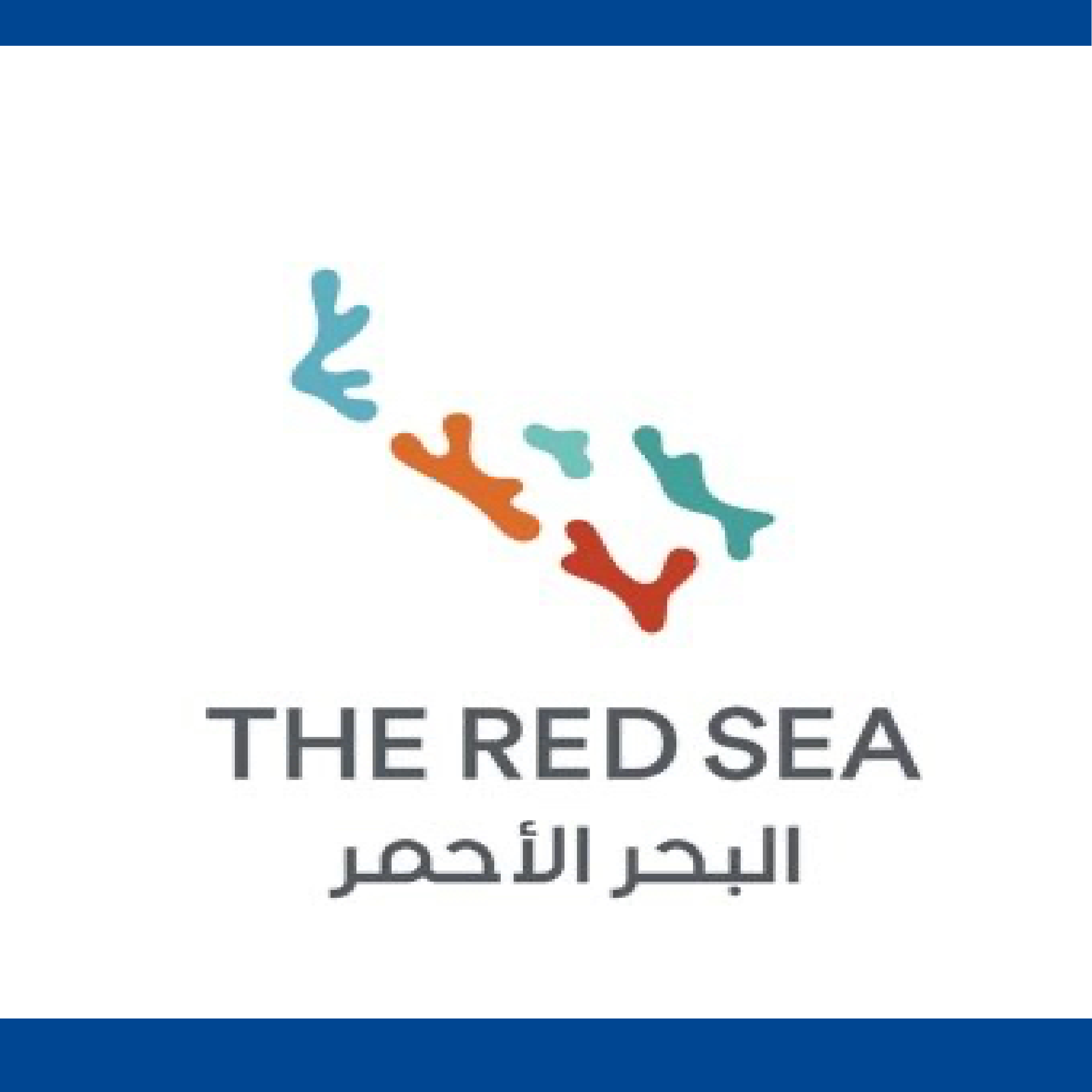 لوقو البحر الاحمر ازرق انس